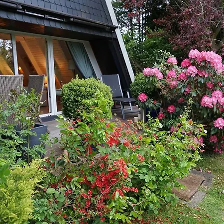 Zeltdachhaus Fuer Ganze Familie Damp